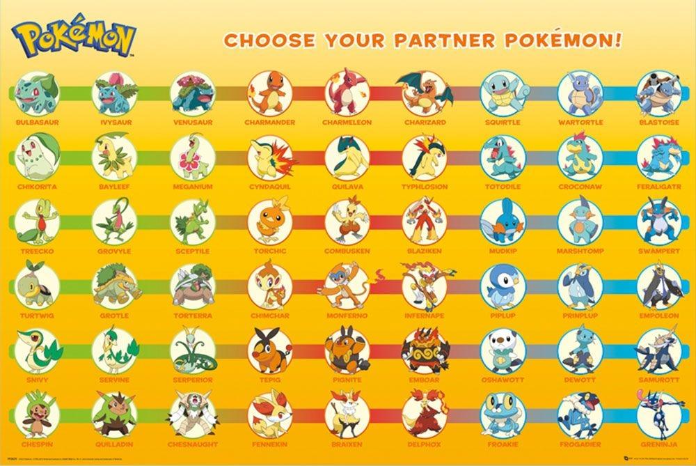 Pokemon Partner Przemiany - plakat 91,5x61 cm