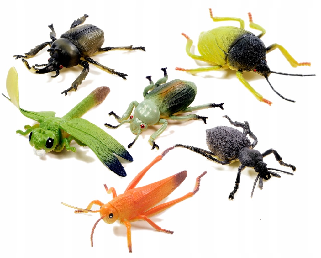 DUŻE OWADY INSEKTY 6 SZTUK ważka konik polny żuk