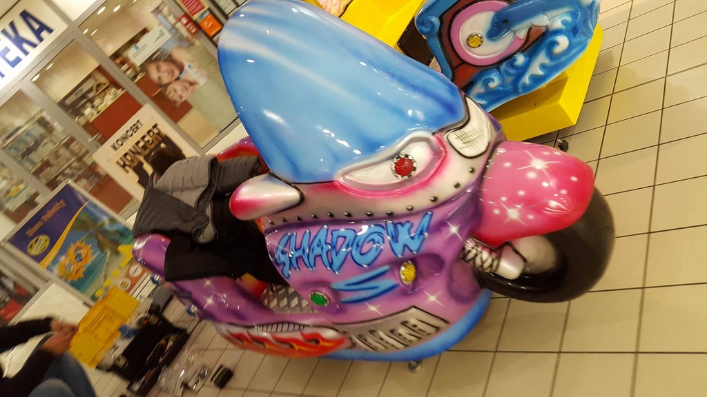 Bujak motor z monitorem - Wyprzedaż