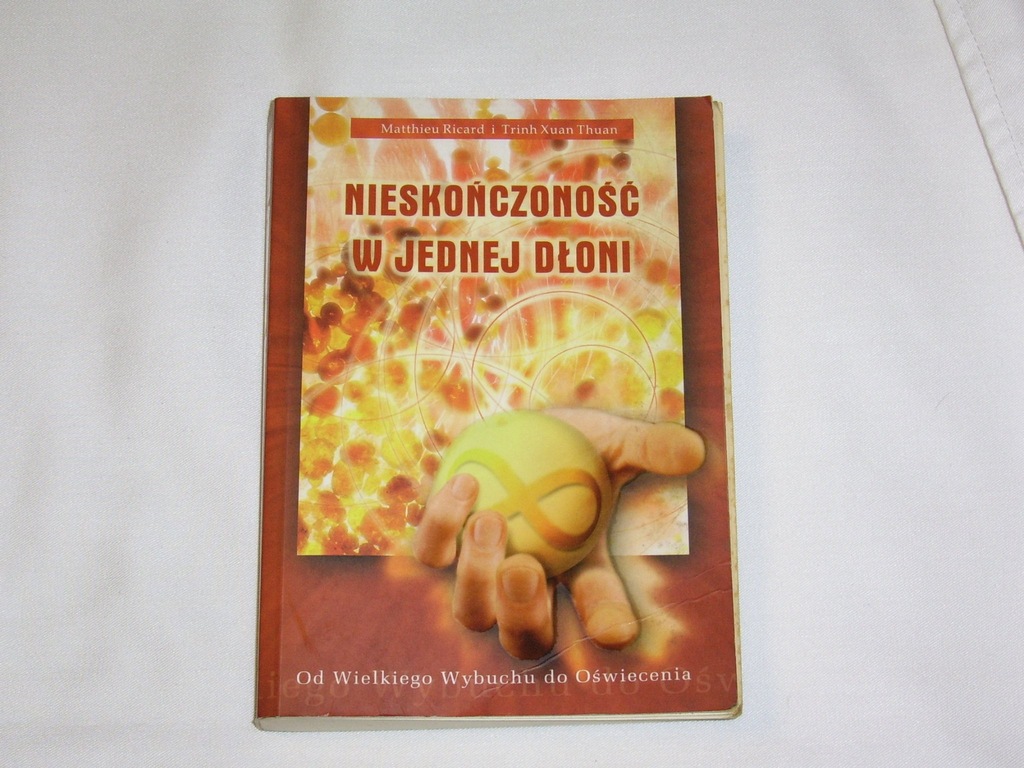 Nieskończoność w jednej dłoni - M. Ricard i Thua