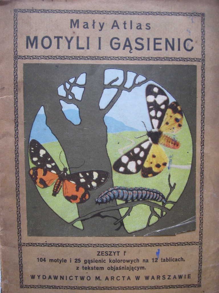 MOTYLE Mały Atlas motyli i gąsienic 1925
