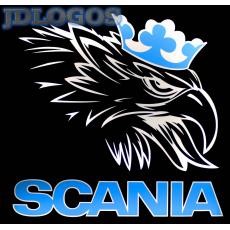 KOORDYNATOR SCANIA, POMOC AWARIA KOORDYNATORA COO7