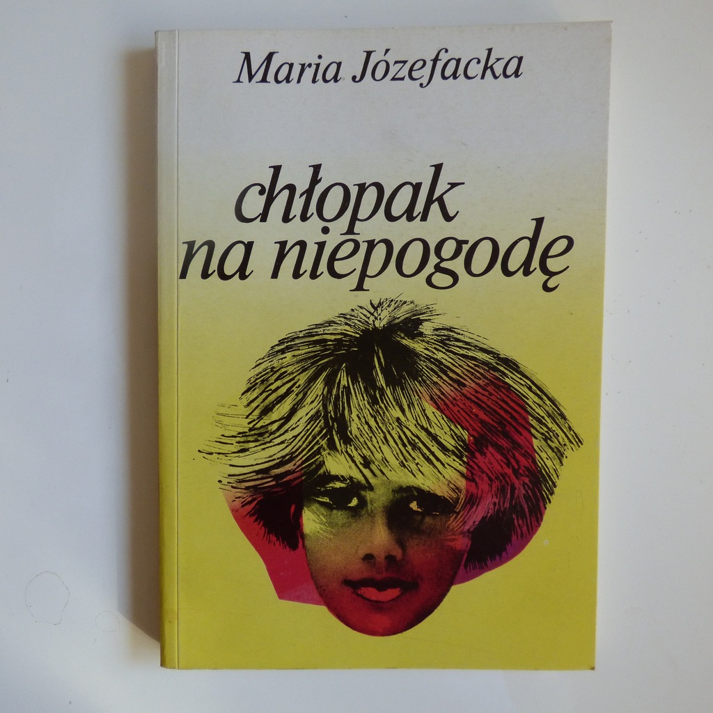 CHŁOPAK NA NIEPOGODĘ Maria Józefacka