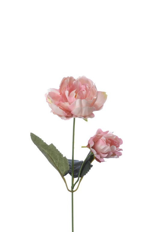 DALIA-RP=- Peonia pojedyńcza różowa 35cm