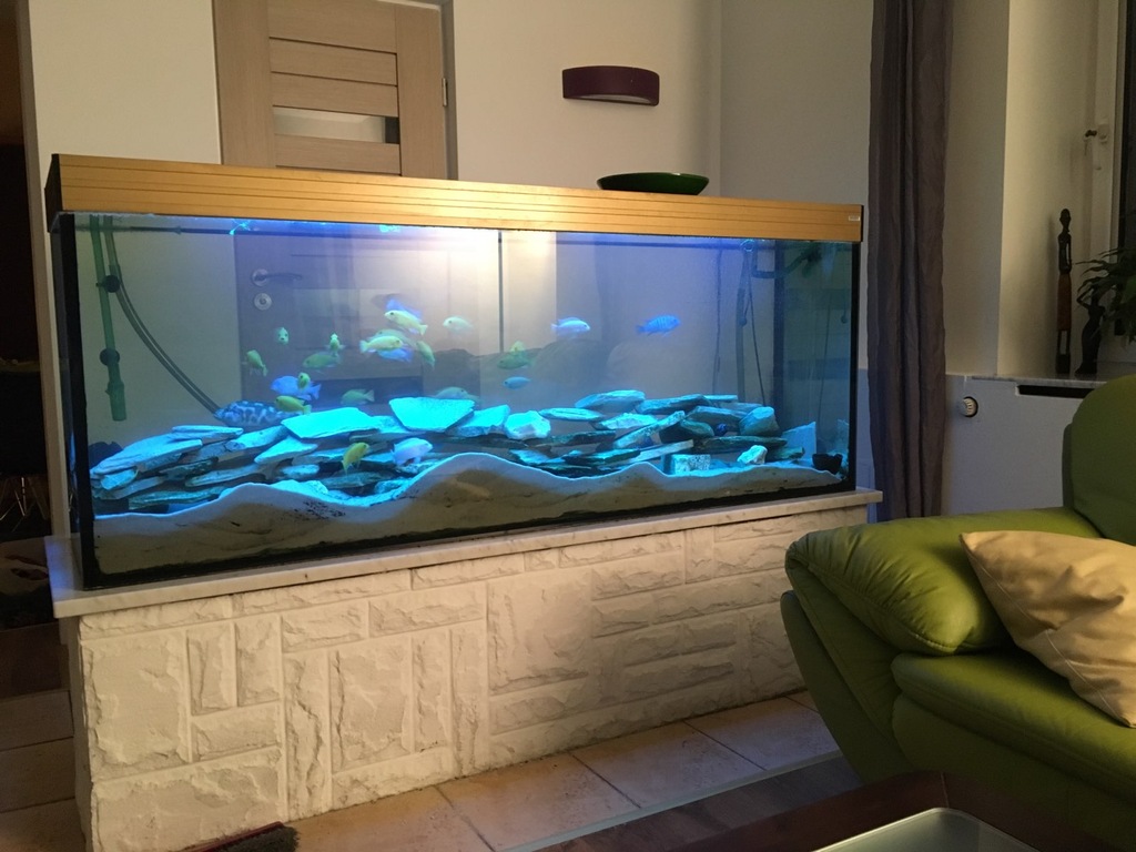 AKWARIUM MYCIOK 1000 L MEGA CENA Z 2999 NA 1999ZŁ