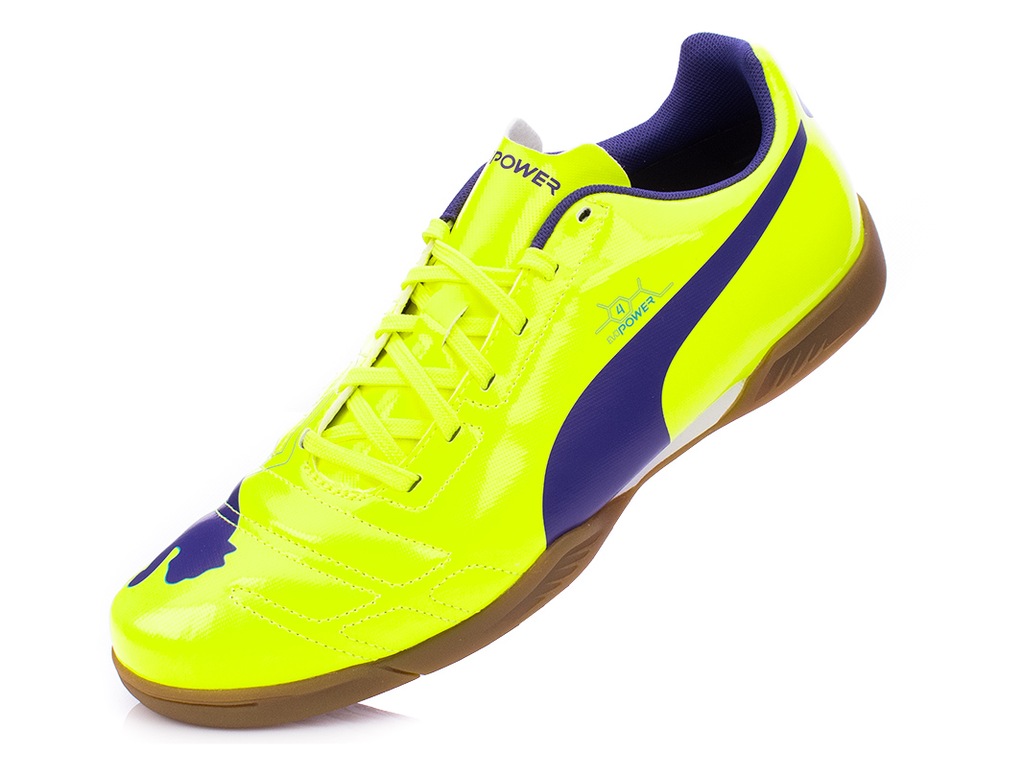 evopower 4.2