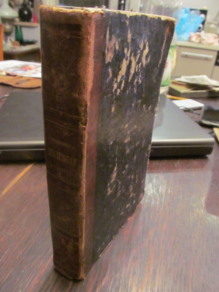 GERALD-WYŻYCKI -HODOWLA ZWIERZ DOMOWYCH 1838 konie