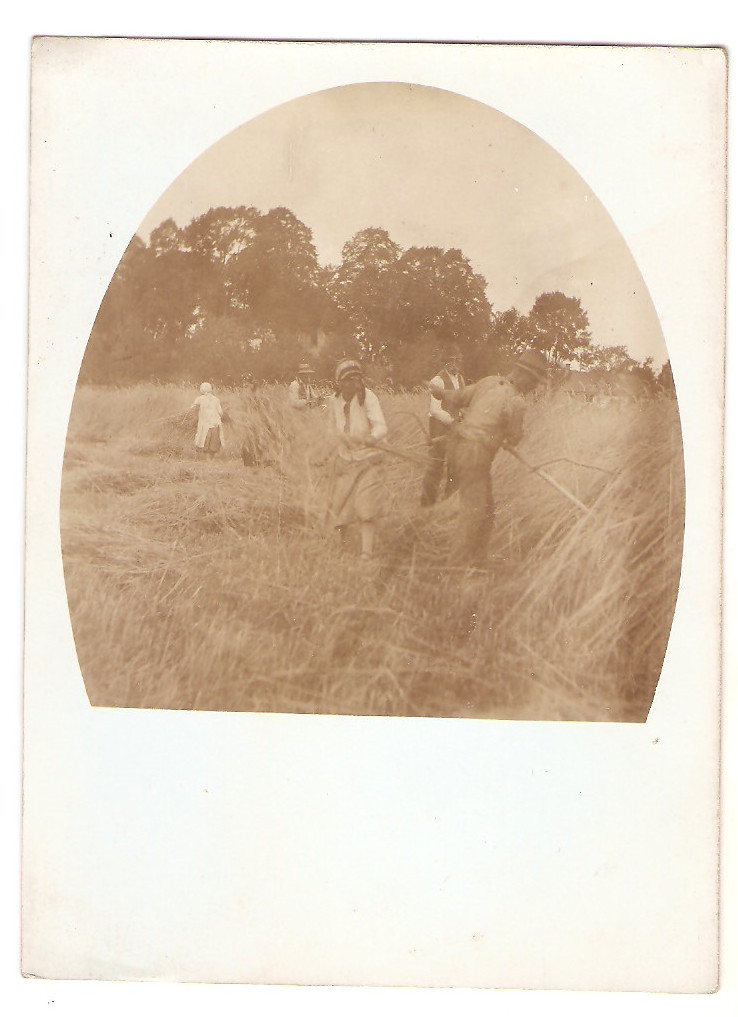 Myślenice - żniwa, 1930 r.