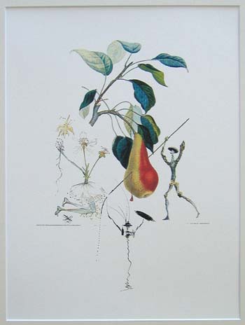 Salvador Dali FLORDALI GRUSZKA i DON QUICHOTTE