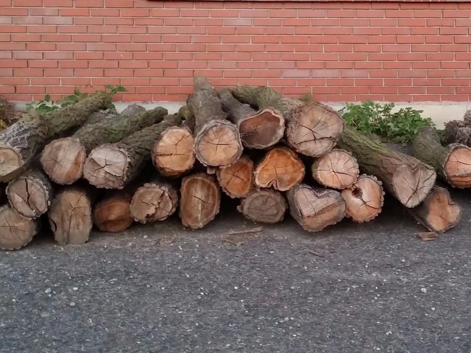Słupki akacjowe do ogrodzenia, akacja, ogrodzenie