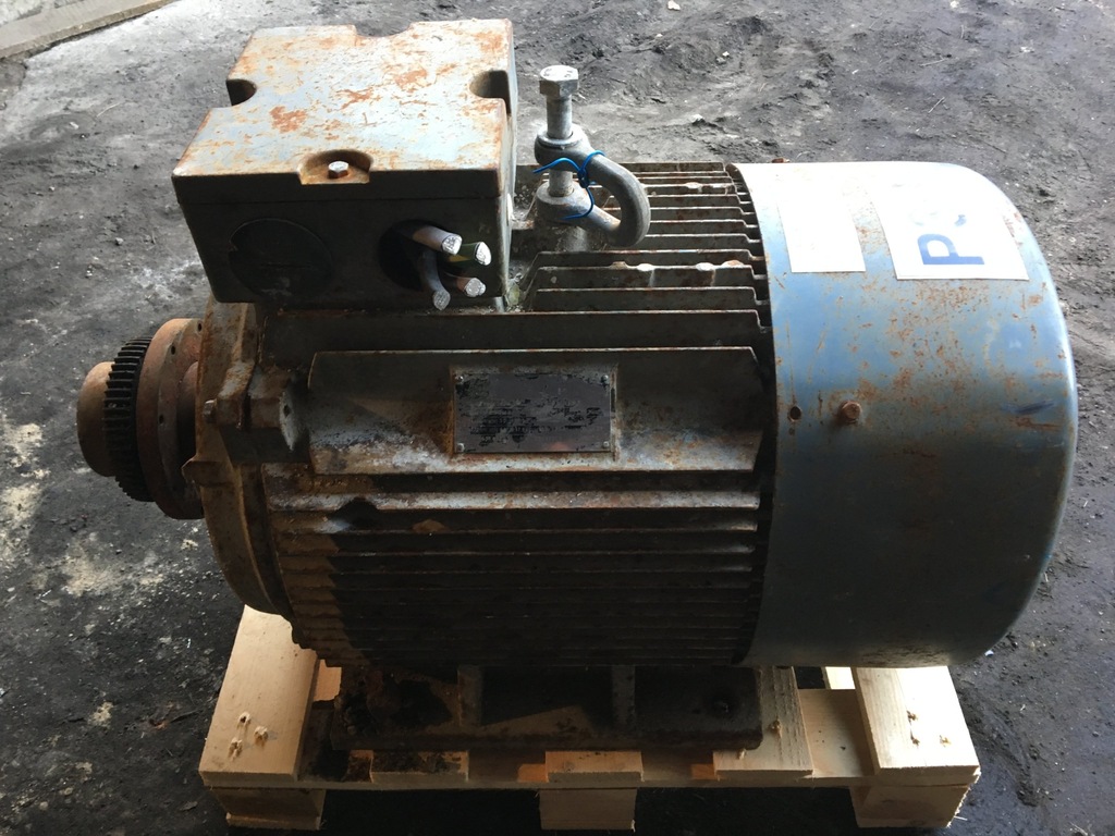 Silnik Elektryczny 55 KW 1475 Obr DUTCHI MOTORS
