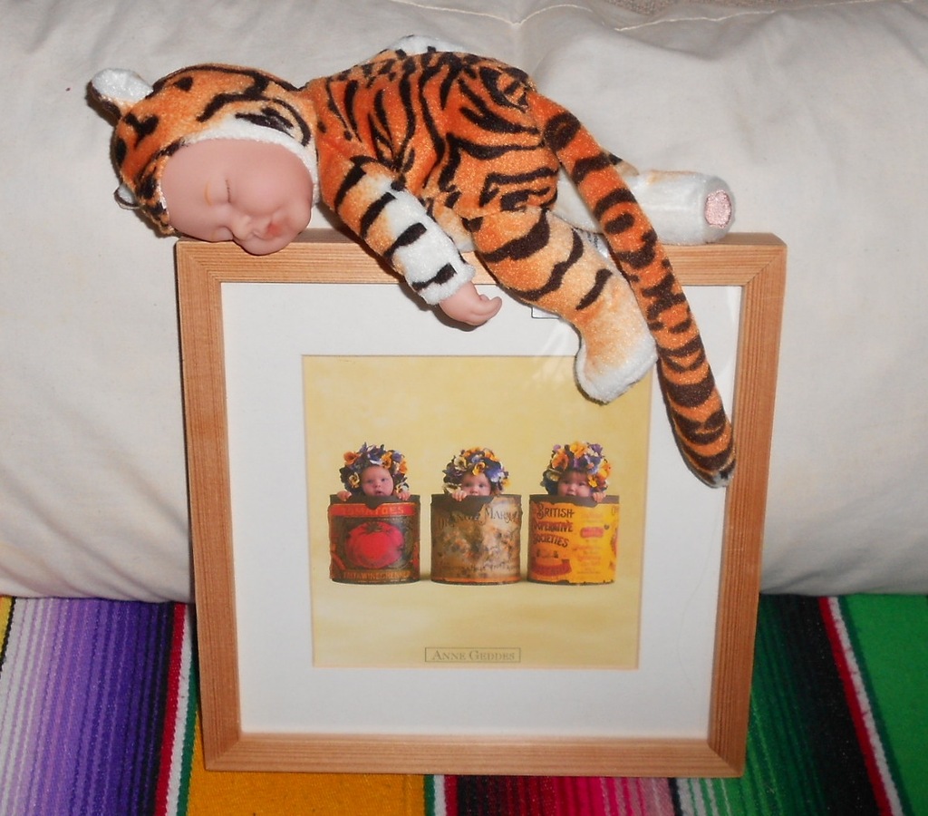 ANNE GEDDES lalka tygrysek + obrazek 3 bobasy