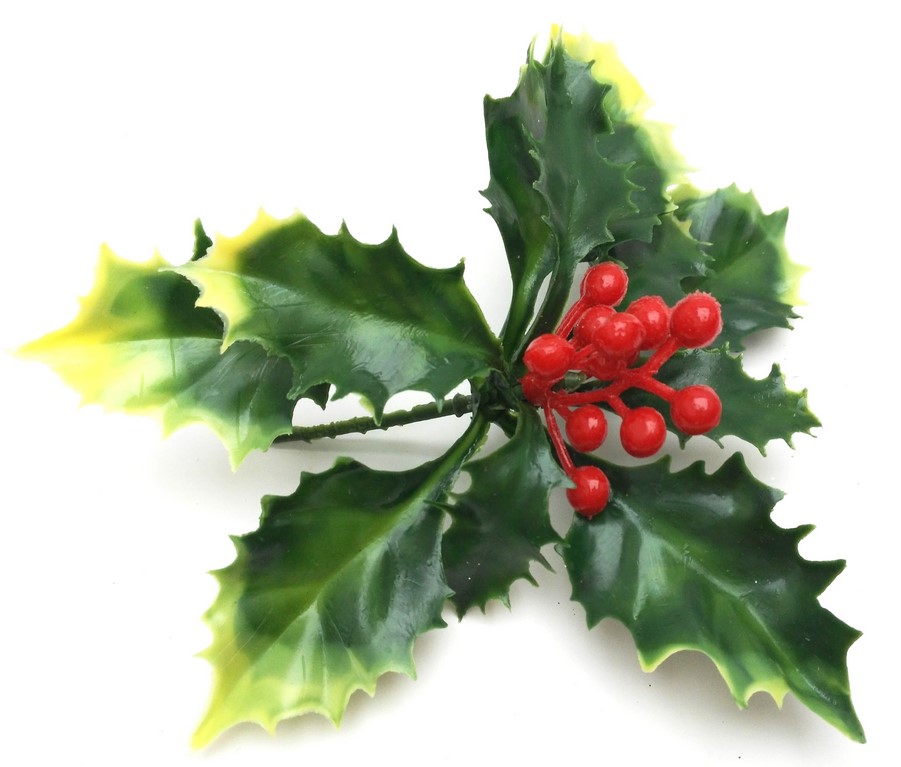 FloSublime  Ostrokrzew Świąteczny Ładny Pik 14 cm