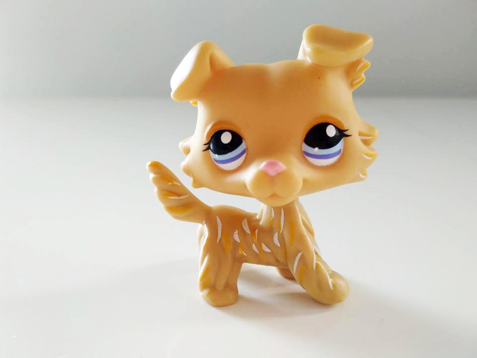 Littlest Pet Shop #1194 piesek beżowy collie LPS