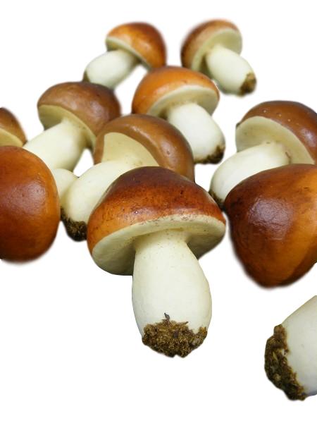 GRZYBY GRZYBKI GRZYB 12szt. sztuczne warzywa