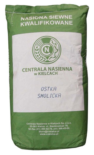PSZENICA JARA OSTKA SMOLICKA 25kg kwalifikat C1