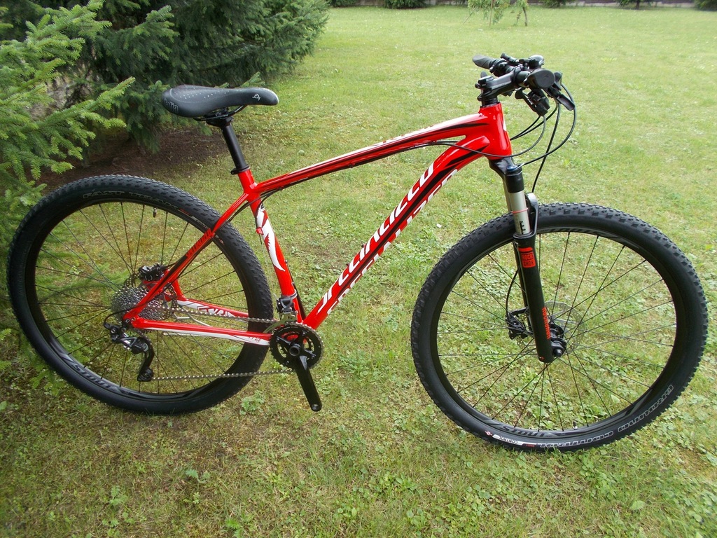 specialized carve expert 29