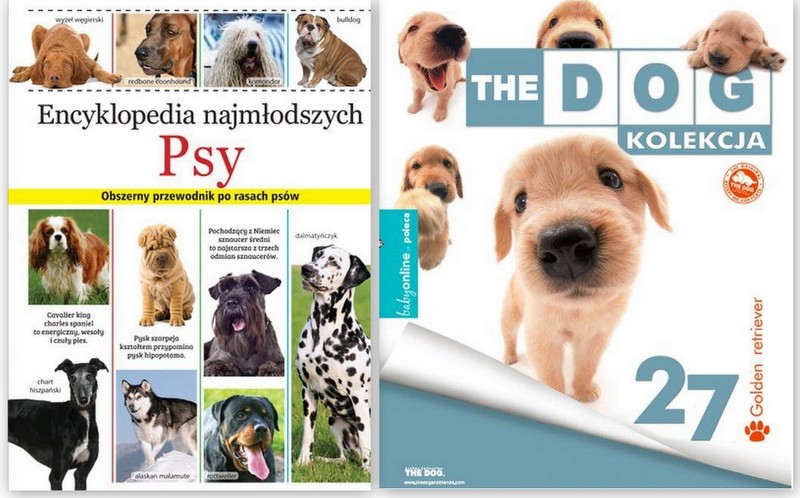 PSY ENCYKLOPEDIA+Golden Retriever PLUSZAK+KSIĄŻKA