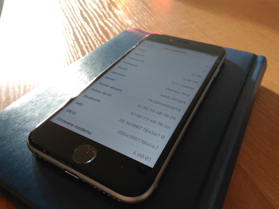 iPhone 6S / gubi zasięg / reszta w stanie wzorowym