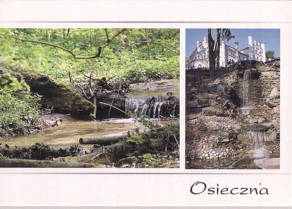 pocztówka OSIECZNA Jaworowy Jar DRZECZKÓW Pałac