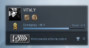 KONTO SILVER 6 SREBRO 6 CS:GO