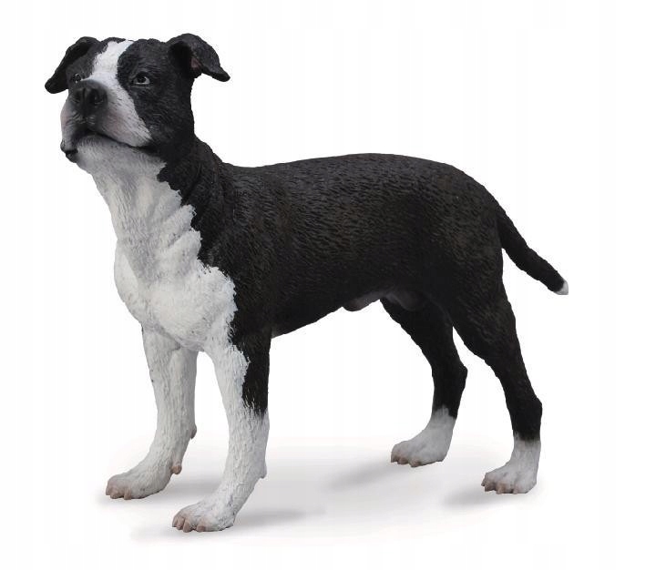 CollectA 88610 Pies Amstaff American Staffordshire