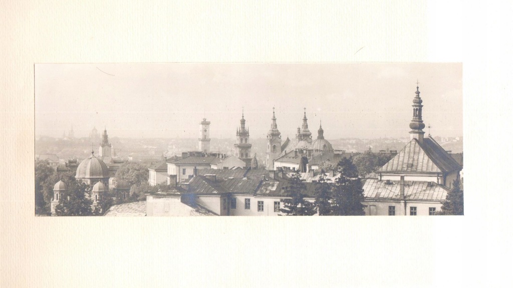 Lwów Panorama fotografia