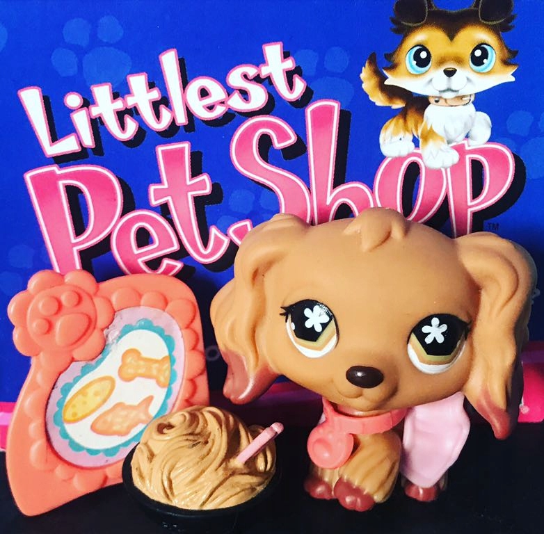 Littlest Pet Shop Cocker Spaniel 716 Oryginalny 7588961981 oficjalne archiwum Allegro