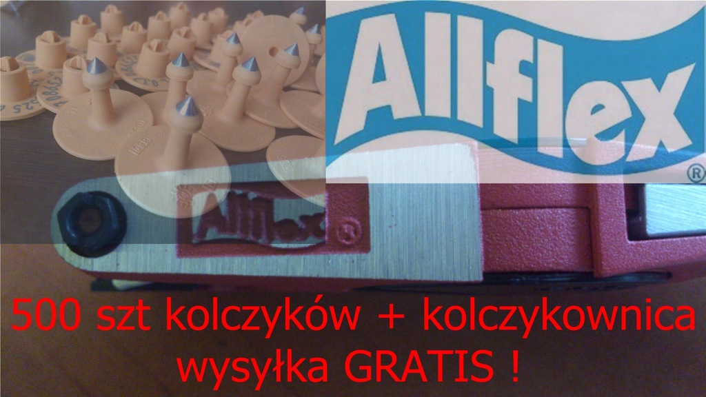 kolczyki Allflex świnie trzoda 500+kolczykownica