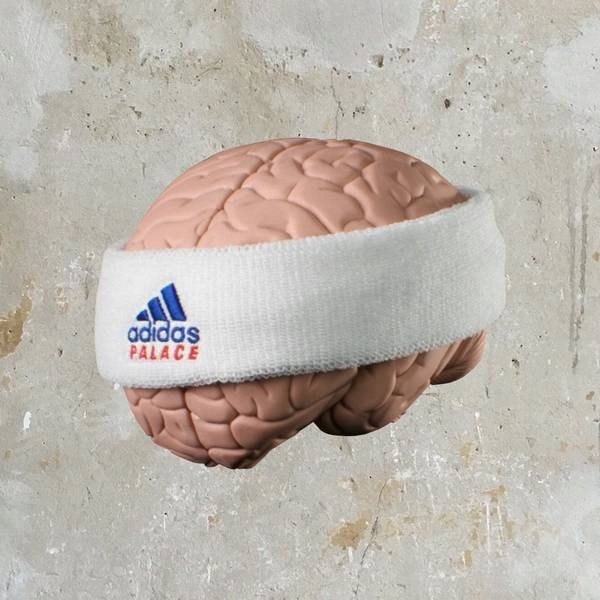 adidas palace headband
