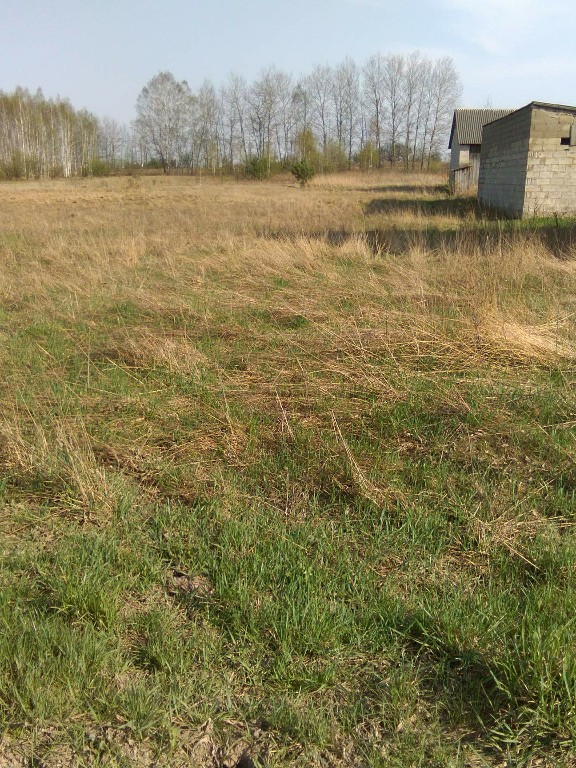 Dzialki budowlane Gąsawy Plebańskie