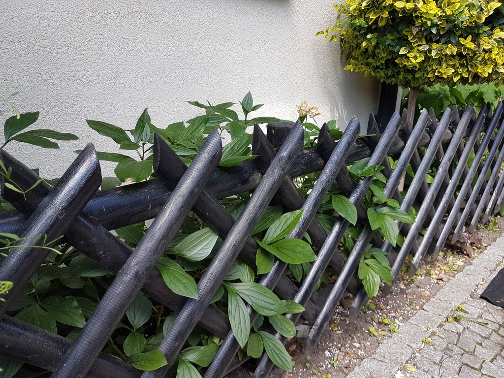 Płotek ogrodowy 50 cm wysokości czarny