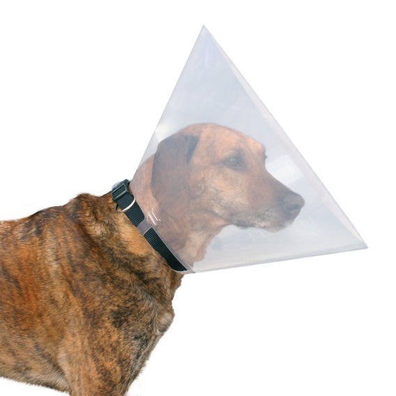 KOŁNIERZ OCHRONNY OSŁONA DOG / BERNARDYN 40cm