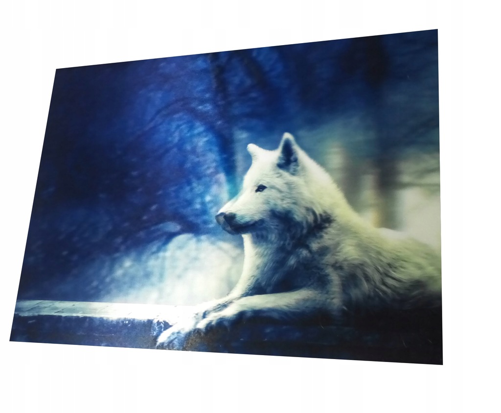 OBRAZ 3D OBRAZKI WILK BIAŁY NOC WILKI 3 D 25 35