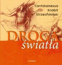 Путь света Блажей Стржехминьский, Леон Кнабит, Раньеро Канталамесса