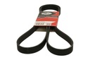 BELT MULTI-RIBBED 6PK1795 photo 10 - milautoparts-fr.ukrlive.com