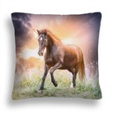 PODUSZKA KOŃ 36 OGIER WSCHÓD SŁOŃCA POSZEWKA JAŚ