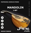 СТРУНЫ JEREMI MANDOLIN ХОРОШЕГО КАЧЕСТВА