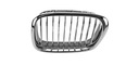 GRILLE RADIATOR GRILLE DEFLECTOR GRILLE BMW 5 E39 FACELIFT 00- M5 L photo 1 - milautoparts-fr.ukrlive.com