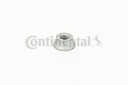 TUNING GEAR FROM PUMP CONTINENTAL AUDI 2,0TDI CT1134WP1 photo 11 - milautoparts-fr.ukrlive.com