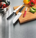 VICTORINOX NÔŽ FIBROX NA FILETOVANIE 5.3763.20 OHYBNÝ NSF ČEPEĽ 20CM Dĺžka čepele 20 cm