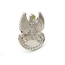 Eagle Land Forces - булавка, булавка, значок