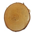 TANIE Drewniane plastry drewna brzoza 8-10 cm g1cm Kod producenta Plastry brzozy
