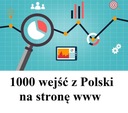 Трафик сайта - 1000 посещений из Польши!