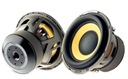 FOCAL E 25KX HIGH-END 25 см / 10 ДЮЙМОВ УЛЬТРАЭФФЕКТИВНЫЙ, ЕСТЕСТВЕННЫЙ, ПОЛНЫЙ НАС