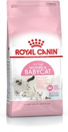 Royal Canin BabyCat Sucha Karma dla kociąt op. 400g