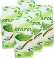 Xylitol, cukr - balení 5x1kg - Santini