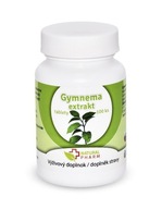 Gymnema Sylvestre Gurmar (CUKRZYCA) 100 tabletek