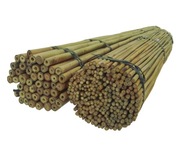 BAMBUSOVÁ TYČ 75 cm 10/12 mm /100 ks/, bambus