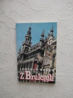 UNGER - Z BRUKSELI /BELGIA POLITYKA DZIENNIKARSTWO
